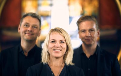 den-nye-salmetrio-bifald
